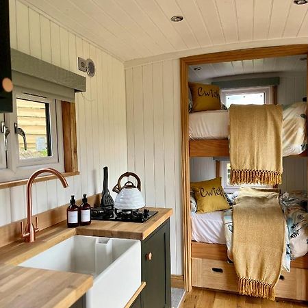 Llanelltyd Cwtch Cader Shepherds Hut מראה חיצוני תמונה